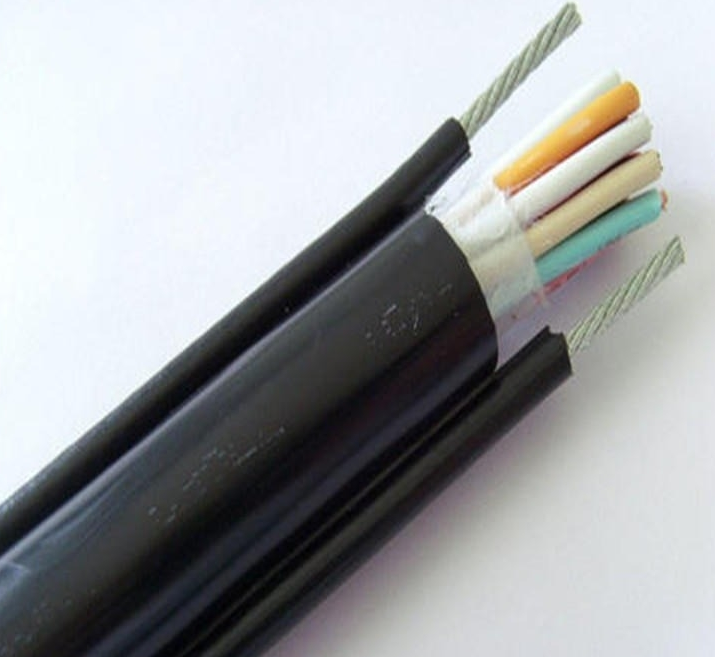 雙側帶鋼絲繩電纜RVVY2G-30*1.5